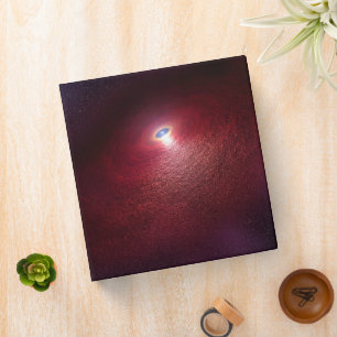 A Neutron Star With A Disk Of Warm Dust. 3 Ring Binder