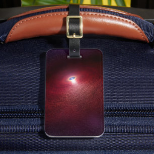 A Neutron Star With A Disk Of Warm Dust. Luggage Tag