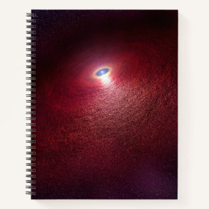 A Neutron Star With A Disk Of Warm Dust. Notebook