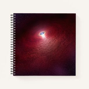 A Neutron Star With A Disk Of Warm Dust. Notebook