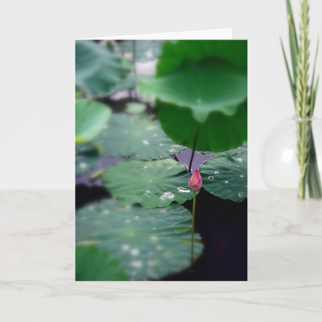 A New Dawn Holiday Card (Front)