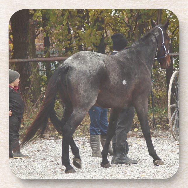 A New Horse Beverage Coaster (Front)