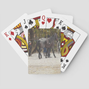 A New Horse Poker Cards