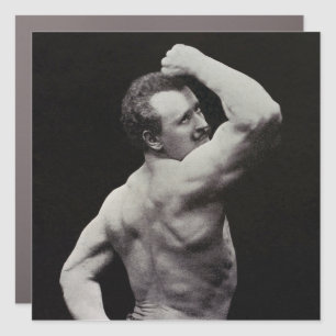 A New Pose by StrongMen Eugen Sandow Bodybuilding Car Magnet