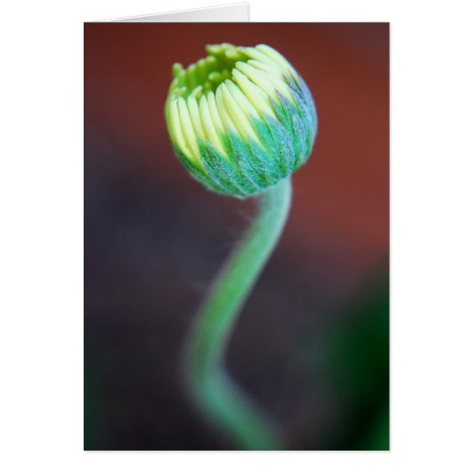 A New Season (Front)