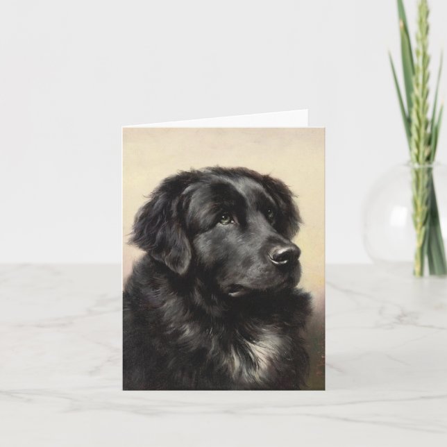 A Newfoundland Note Card (Front)
