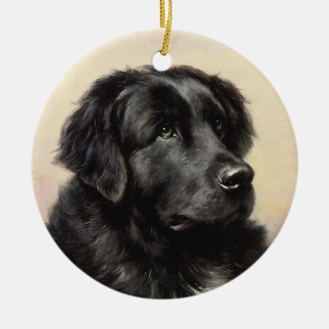 A Newfoundland Ornament (Front)