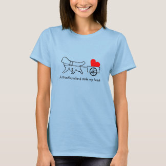 A Newfoundland stole my heart T-Shirt