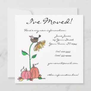 A Nice Place To Nest Announcement