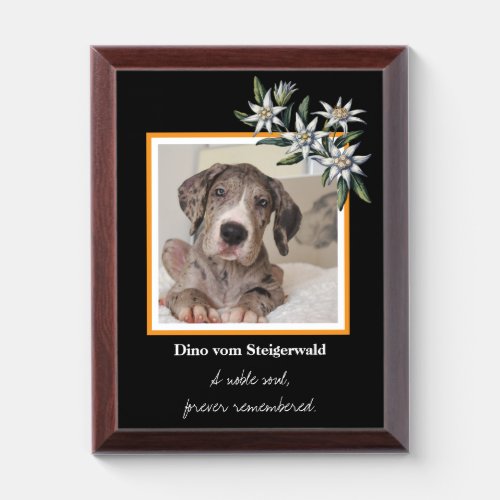 A noble soul, forever remembered award plaque