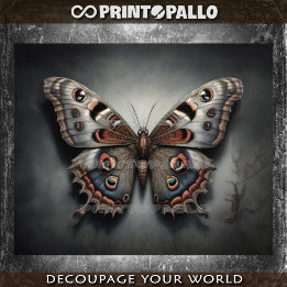 A nocturnal moth butterfly, like your thoughts - tissue paper