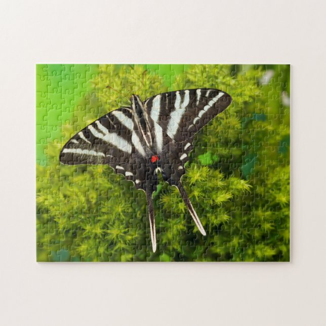 A North American Swallowtail Butterfly Jigsaw Puzzle (Horizontal)