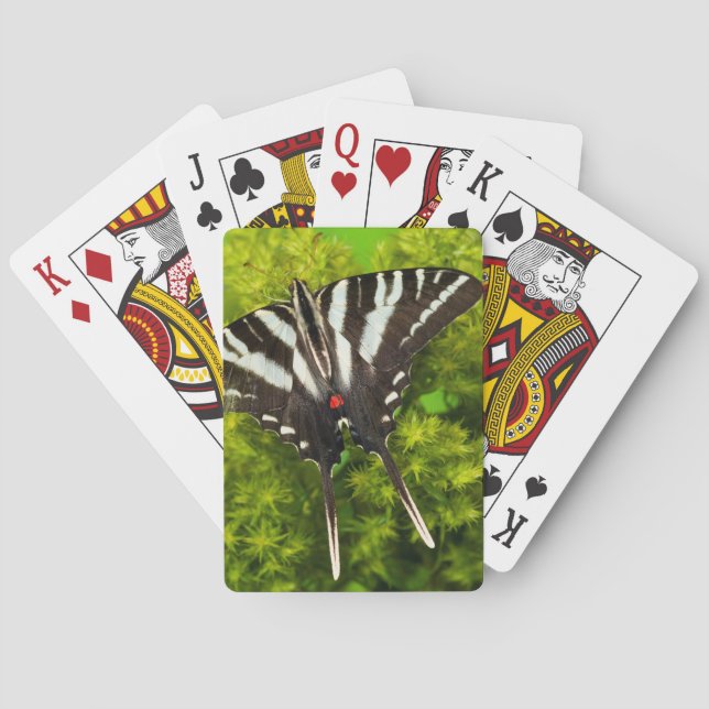 A North American Swallowtail Butterfly Poker Cards (Back)