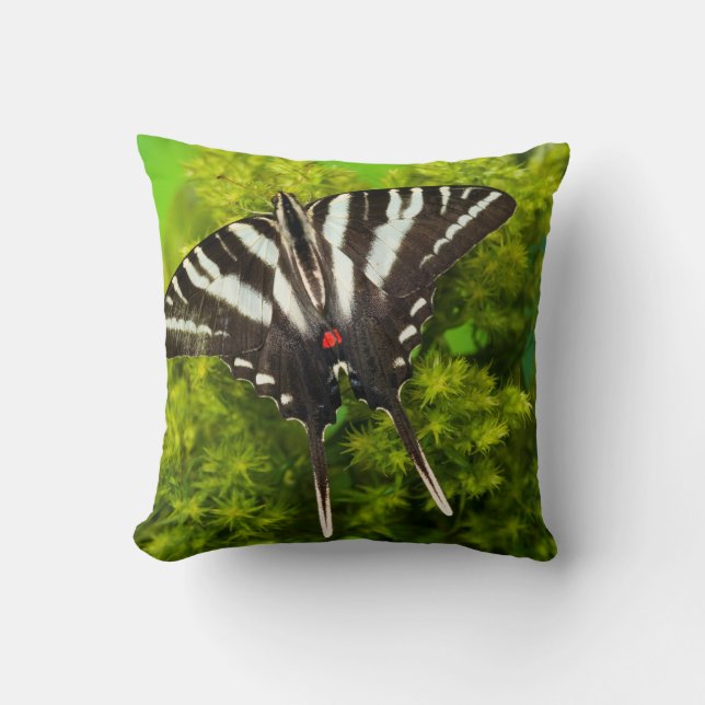 A North American Swallowtail Butterfly Throw Pillow (Front)