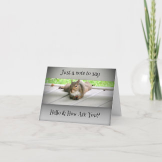 A Note to Say Hello - Blank Greeting Card