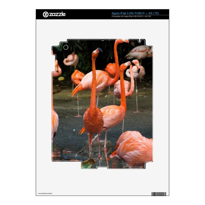 A number of Flamingos Decal For iPad 3