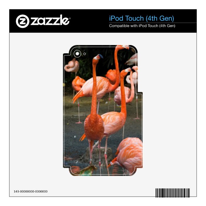 A number of Flamingos Skin For iPod Touch 4G