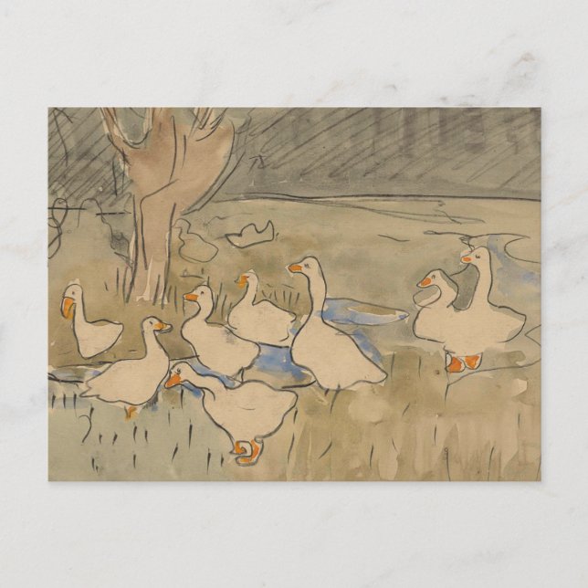 A Paddling of Ducks Postcard (Front)