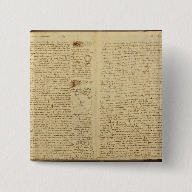 A page from the Codex Leicester, 1508-12 Button (Front)