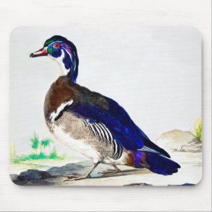 A painting of a duck by Aert Schouman Mouse Pad