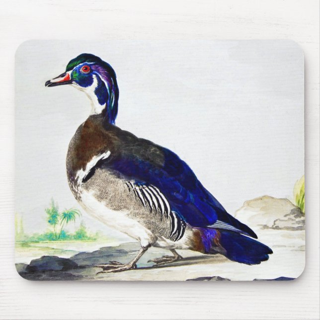 A painting of a duck by Aert Schouman  Mouse Pad (Front)