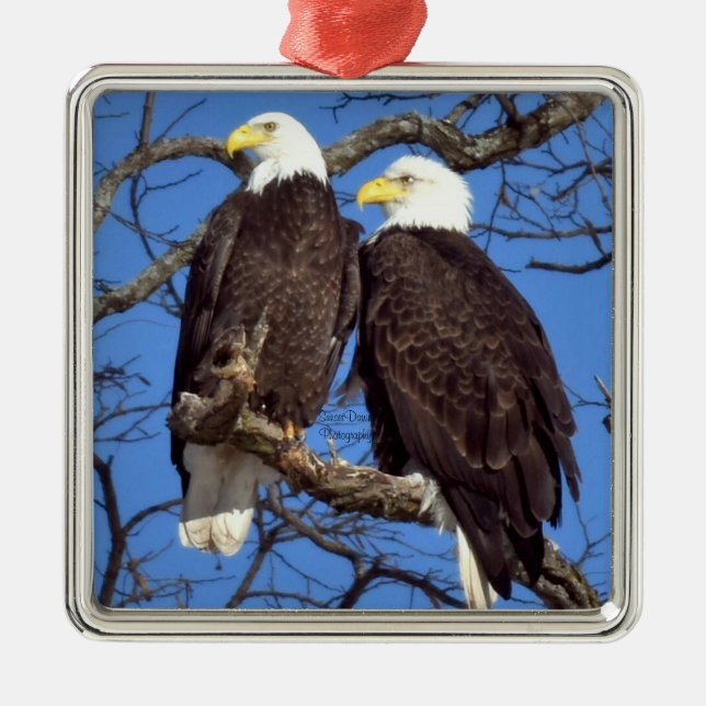 A Pair of Bald Eagles Metal Ornament (Front)