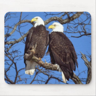 A Pair of Bald Eagles Mouse Pad