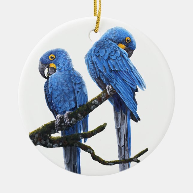 A pair of bright blue Hyacinth Macaws Ceramic Ornament (Front)