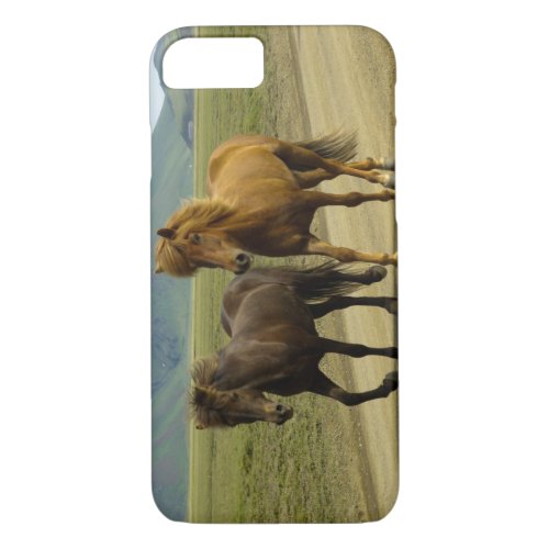 A Pair of Brown Icelandic Ponies iPhone 87 Case