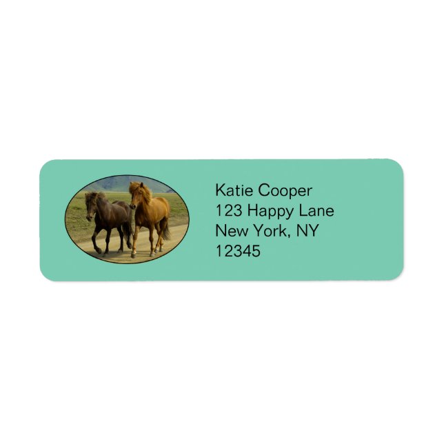 A Pair of Brown Icelandic Ponies Label (Front)