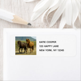 A Pair of Brown Icelandic Ponies Label