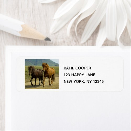 A Pair of Brown Icelandic Ponies Label