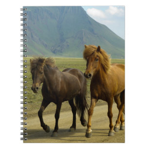 A Pair of Brown Icelandic Ponies Notebook