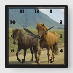 A Pair of Brown Icelandic Ponies Square Wall Clock