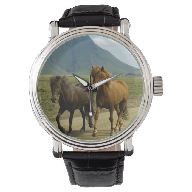 A Pair of Brown Icelandic Ponies Watch (Front)