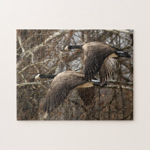 A Pair Of Canada Geese In Flight Jigsaw Puzzle