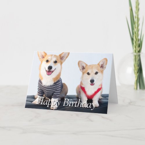 A Pair Of Corgis Sitting On A Bench Card