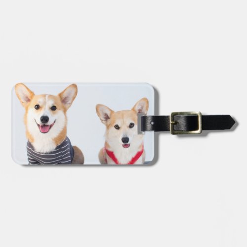 A Pair Of Corgis Sitting On A Bench Luggage Tag