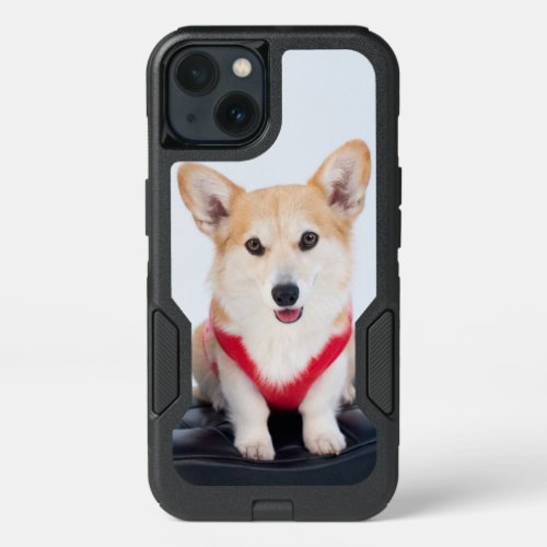 A Pair Of Corgis Sitting On A Bench iPhone 13 Case