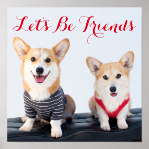 A Pair Of Corgis Sitting On A Bench Poster