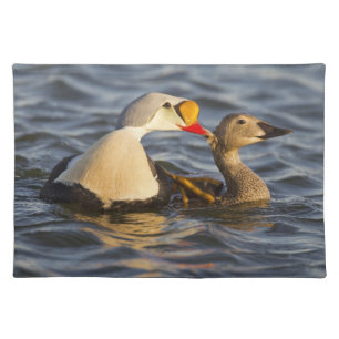 A pair of courting king eiders in a tundra pond cloth placemat