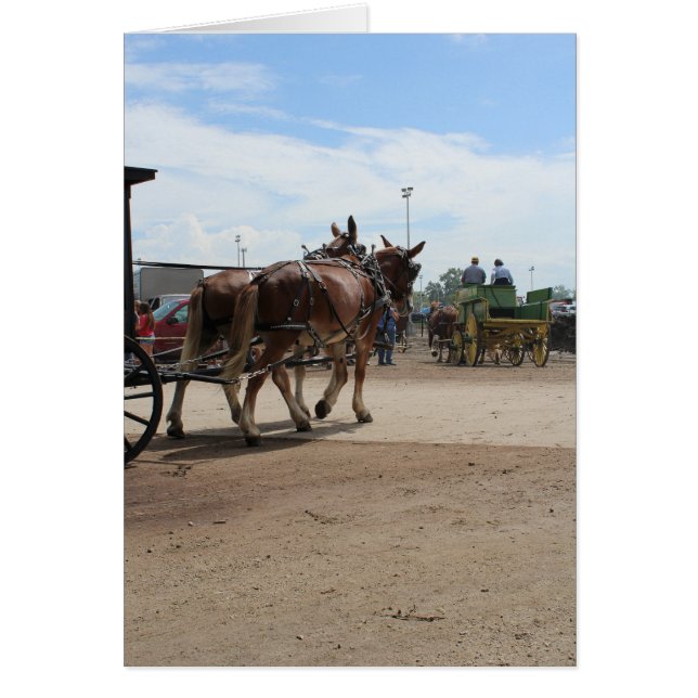 A Pair of Draft Mules at an Iowa Ag Festival Cards (Front)