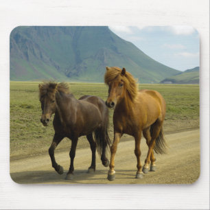 A Pair of fancy Brown Icelandic Ponies Mouse Pad