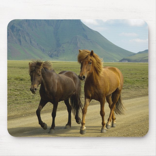 A Pair of fancy Brown Icelandic Ponies Mouse Pad (Front)