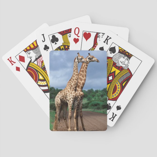A Pair Of Giraffes On Road, Kruger National Poker Cards (Back)