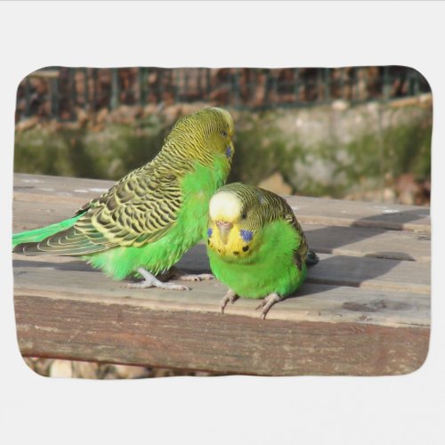 A Pair of Green Budgies on a wooden bench Baby Blanket