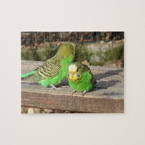 A Pair of Green Budgies on a wooden bench Jigsaw Puzzle