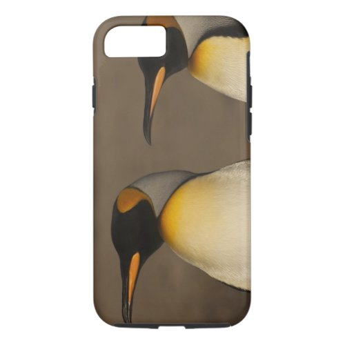 A pair of King Penguins Aptenodytes p iPhone 87 Case