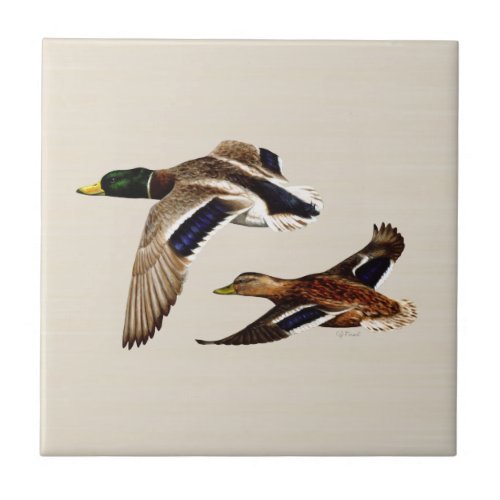 A Pair of Mallard Ducks Ceramic Tile
