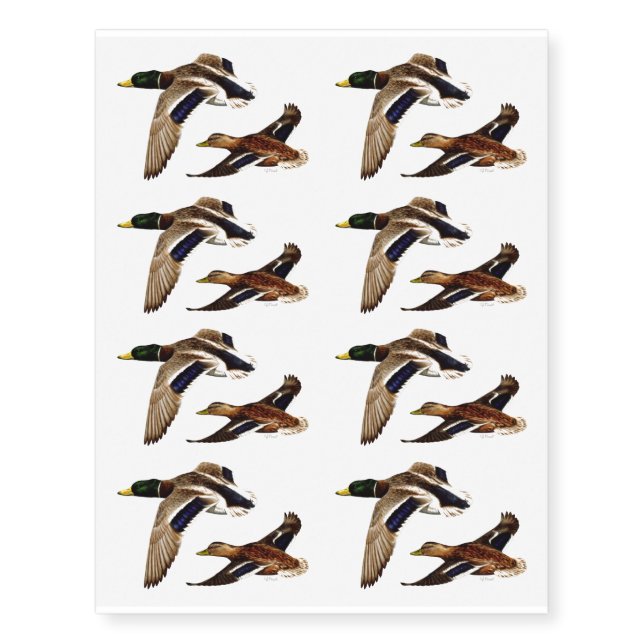 A Pair of Mallard Ducks Temporary Tattoos (Front)